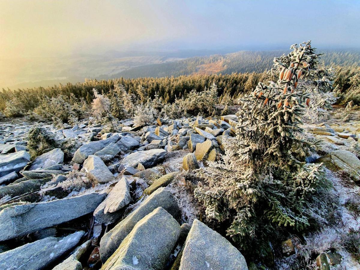 Chata Waliszow Nowy Waliszow Bagian luar foto