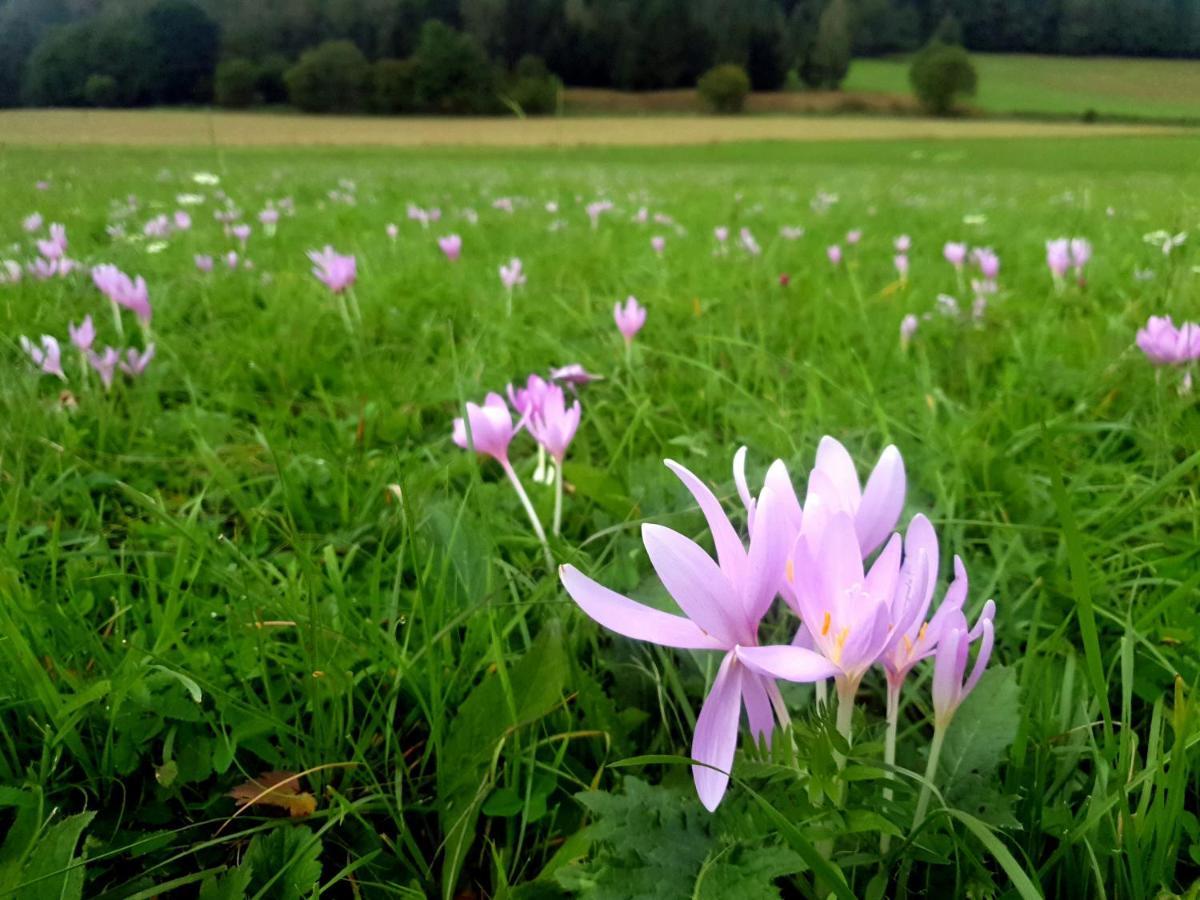 Chata Waliszow Nowy Waliszow Bagian luar foto