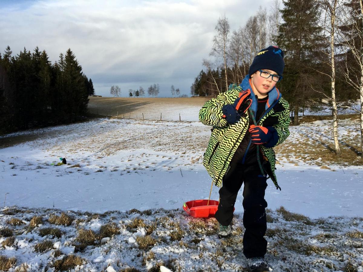 Chata Waliszow Nowy Waliszow Bagian luar foto